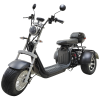 Электроскутер CityCoco Wolong X11 Trike